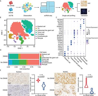 Frontiers | Single-cell Transcriptome Analysis Reveals T-cell ...